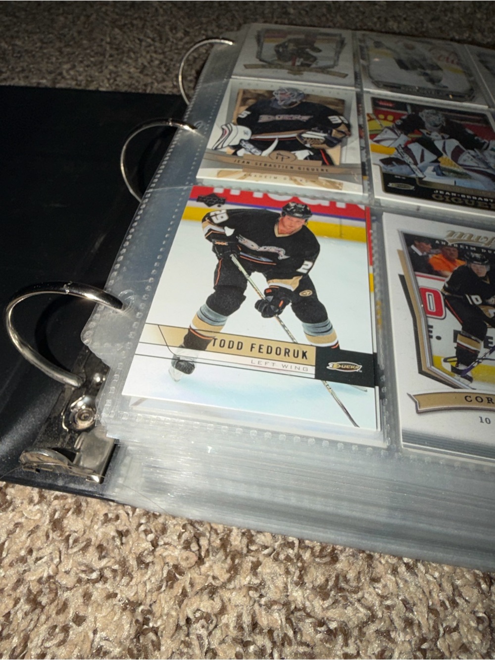 NHL Trading Cards in Binder Pages